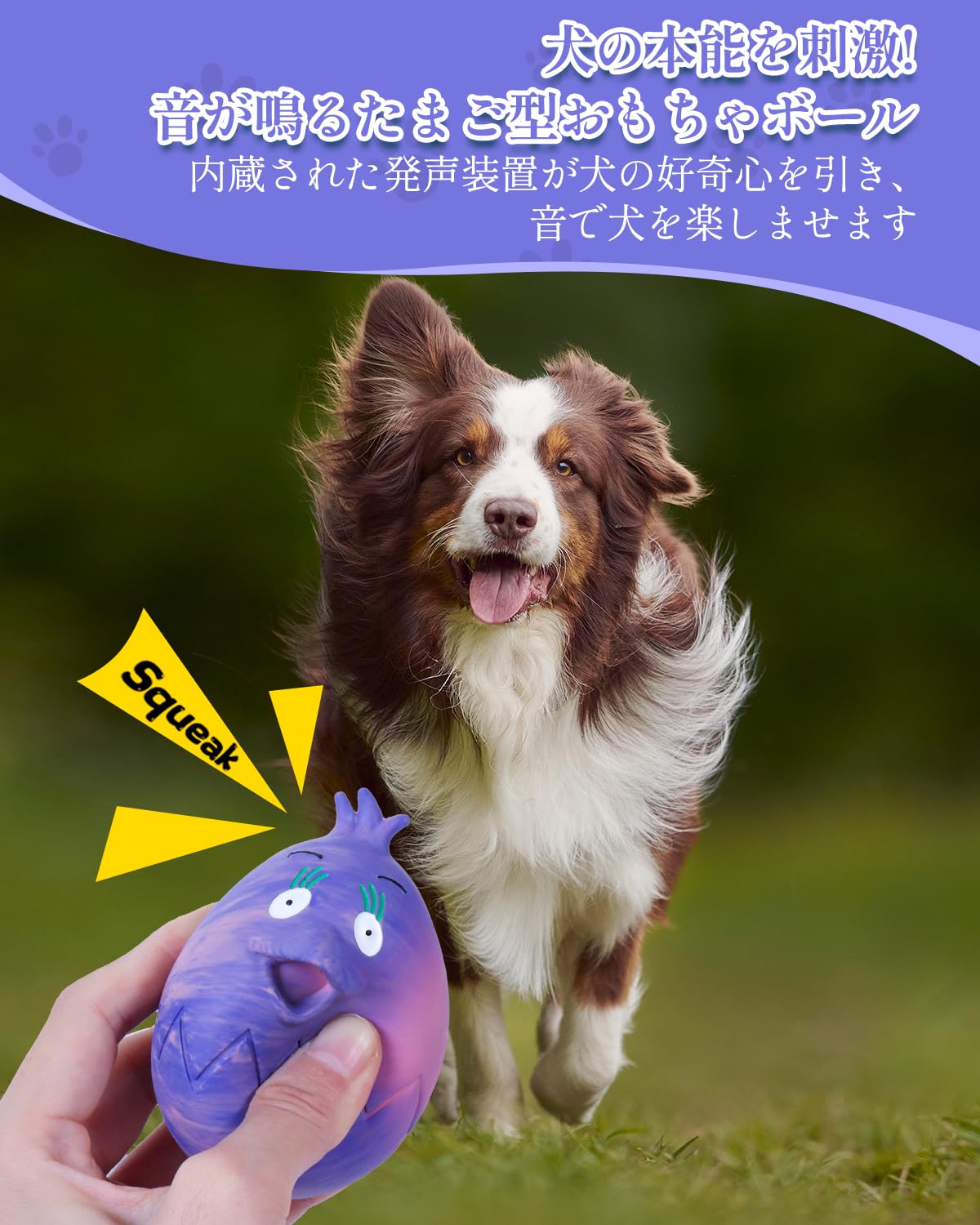 Amazon | KrauzPet 犬 おもちゃ 音が鳴る たまご ボール【ゴム製・運動