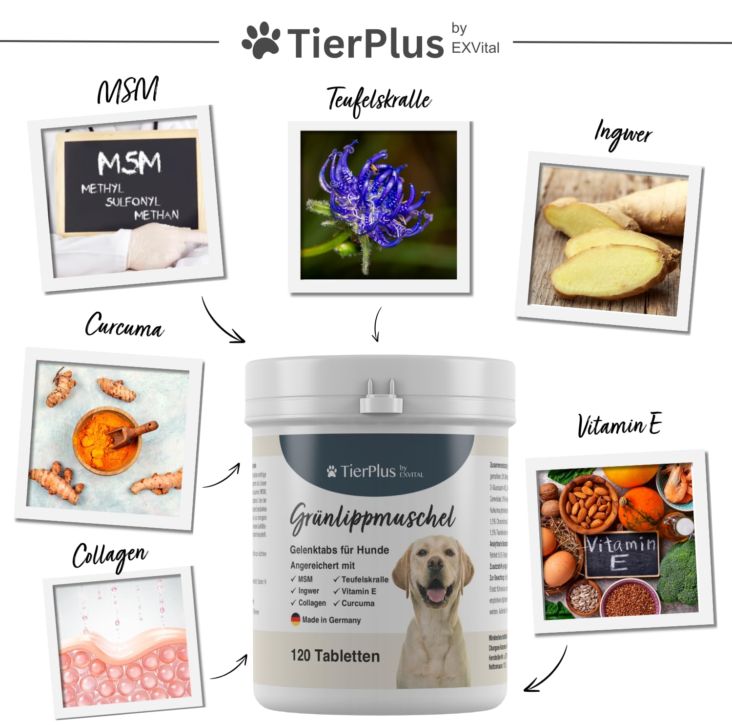 TierPlus Gelenktabletten für Hunde mit Grünlippmuschel, MSM, Ingwer, Chondroitin, Glucosamin und Teufelskralle angereichert. Hohe Fressakzeptanz, 120 Stück, Made in Germany