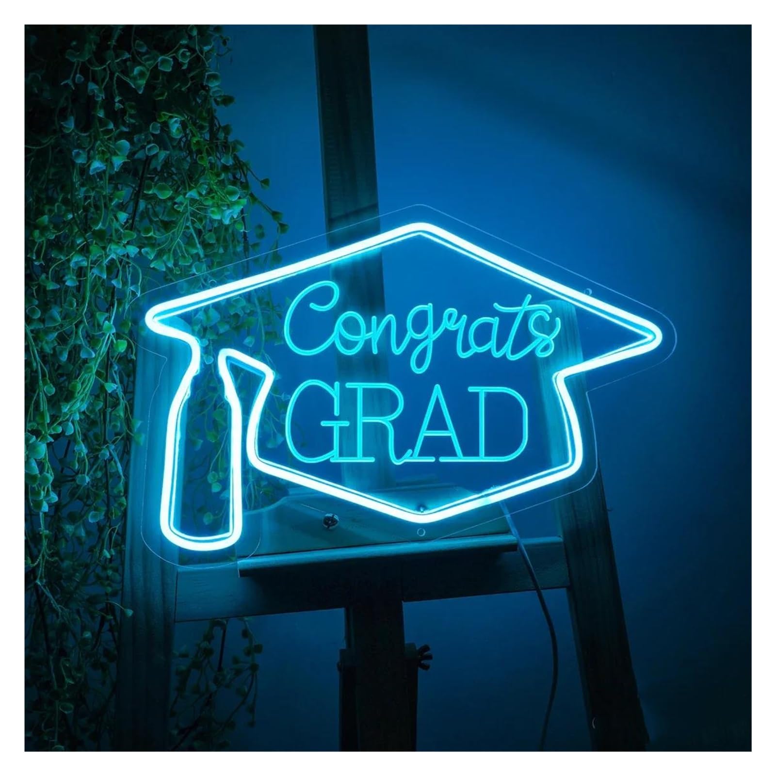 LEMST Signs Lamp Congrats Grad Neon Sign Light USB Powered 3D Engrave for Graduation Backdrop Art Wall Decor 38cmx22cm(D)