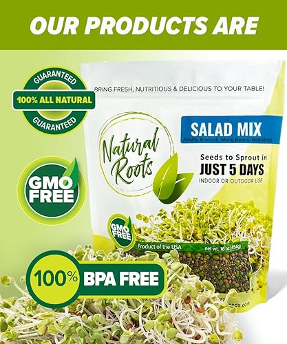 Miniatura 3 de Mezcla de ensalada de semillas germinadas de una libra. Sin OMG. Brócoli, alfalfa, rábano y frijoles mungos Nuestro paquete patentado de brotes de