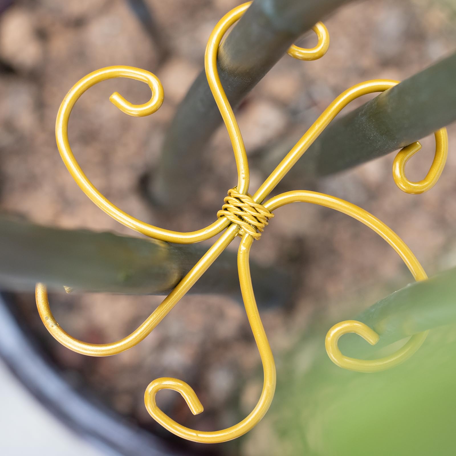 Simabsie 6pcs Plant Stem Support, Monstera Plant Support,Propagated Plant Holders,Plant Stakes and Supports,Claw style-PCS-01(Claws Shape)