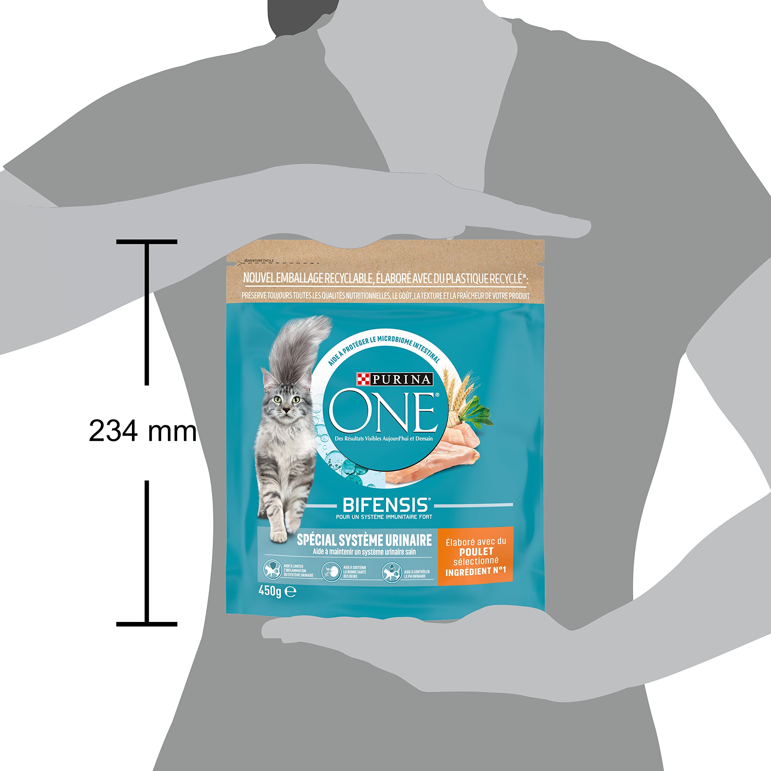 PURINA ONE | BIFENSIS | Chat Adulte | Spécial Système Urinaire | Aide à limiter l'inflamation du système urinaire, à soutenir la bonne santé des reins | Croquettes | Au Poulet | Sac | Lot de 10 x 450g
