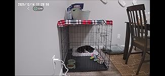 Review Image by Daleska Joy Tatman Daleska Joy Tatman