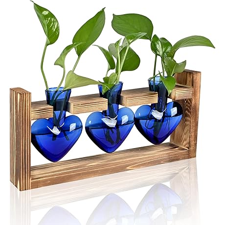 Decorative Heart Shaped Glass Vase with Wooden Stand