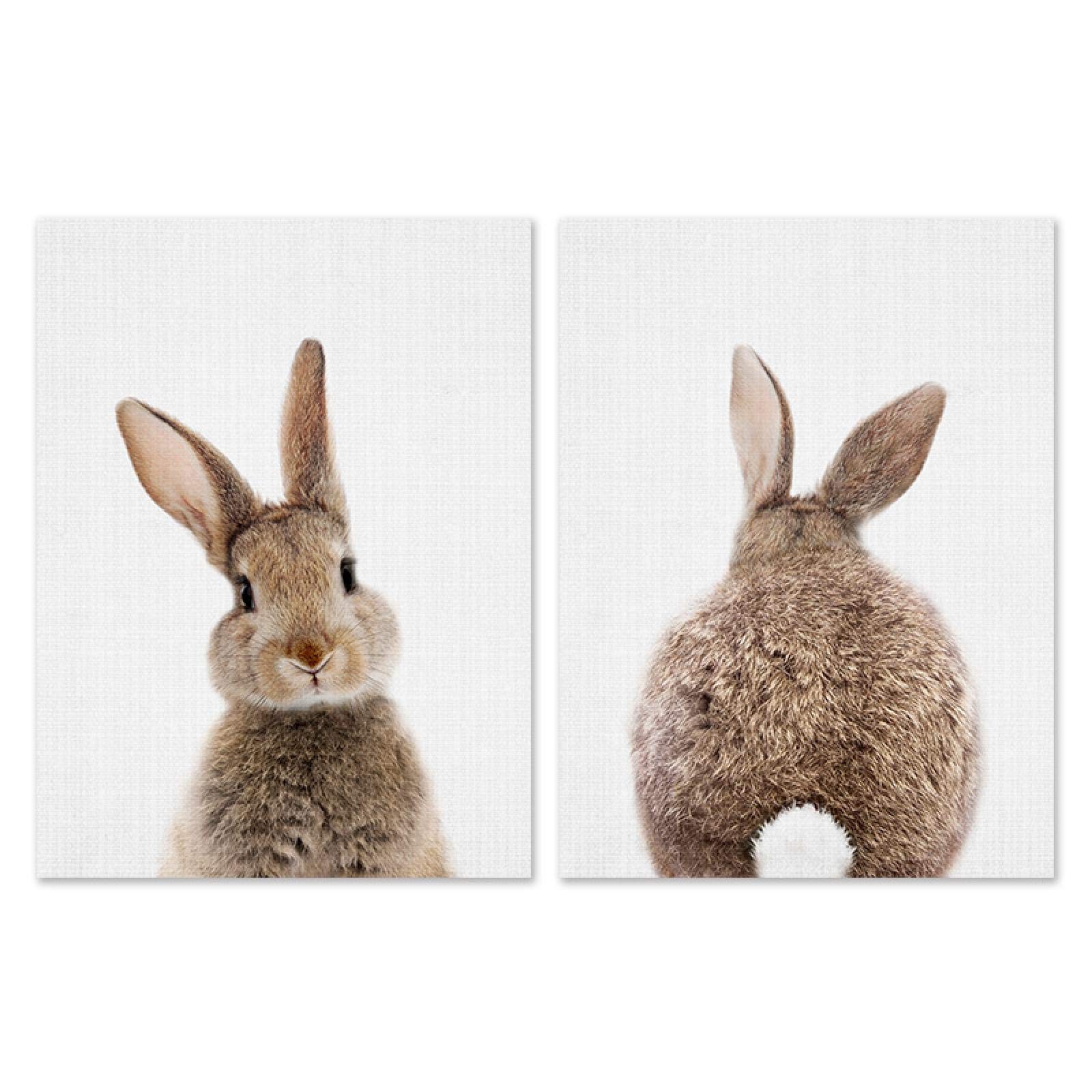 Conejito cola de conejo arte de la pared cartel de animales del bosque pintura en lienzo impresión infantil imagen para niños decoración de la habitación del bebé 30x45cm (12x18 pulgadas) x2 con marco