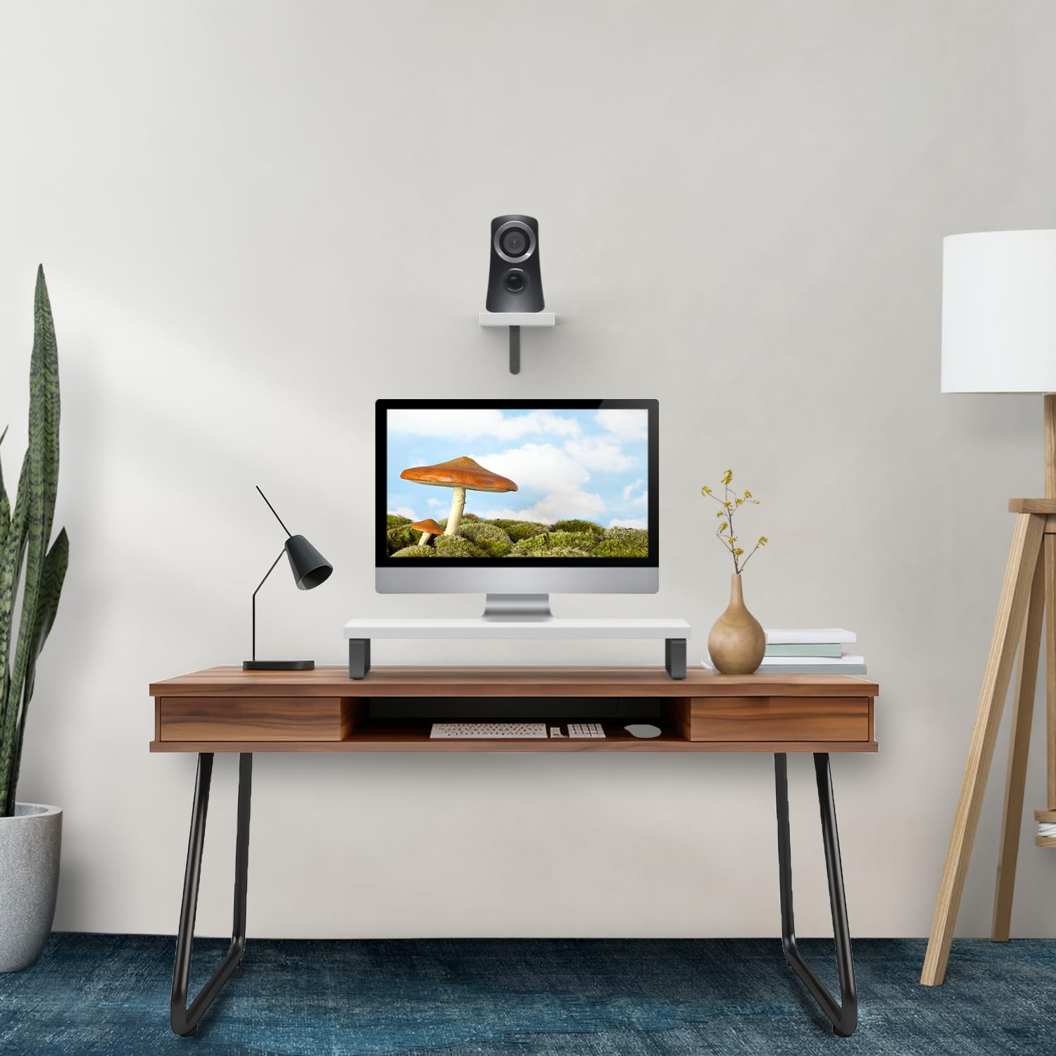 flux Wooden Monitor Stand Organizer & Wall Mounted Plant Shelf Free Combo - Ergonomic Riser, Desktop Organizer, Laptop Stand, Space Saving Storage, Material: MDF&Metal (Free Wall Shelf )(White) (B0D7VL48GJ) Amazon Price History, Amazon Price Tracker