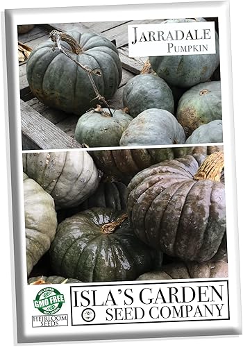 Jarradale semillas de calabaza color verde pálido Jarrahdale 10 semillas de reliquia premium semillas de jardín de Islas Garden Seeds semillas sin