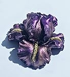 Review Image by biwabik49 biwabik49