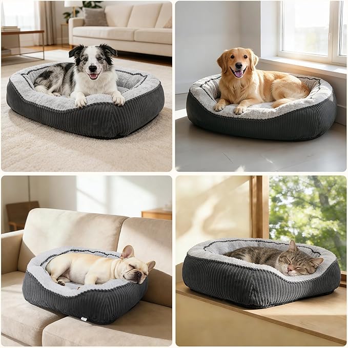 Cama Ortopédica para Perro Mediana Lavable con Base Antidesl miniatura 7