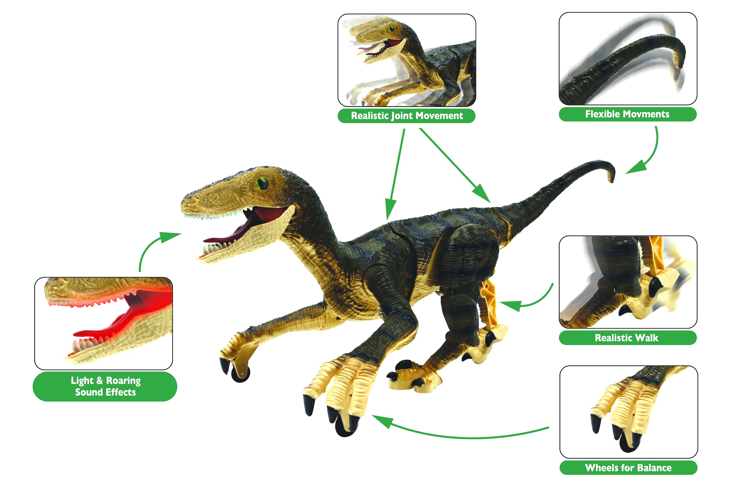 Lexibook, Controllo RC Raptor, Dinosauro Realistico telecomandato, Movimenti articolati, Ruggito, Effetto Luce, Ricaricabile, Telecomando fossile Incluso, DINO01LXB