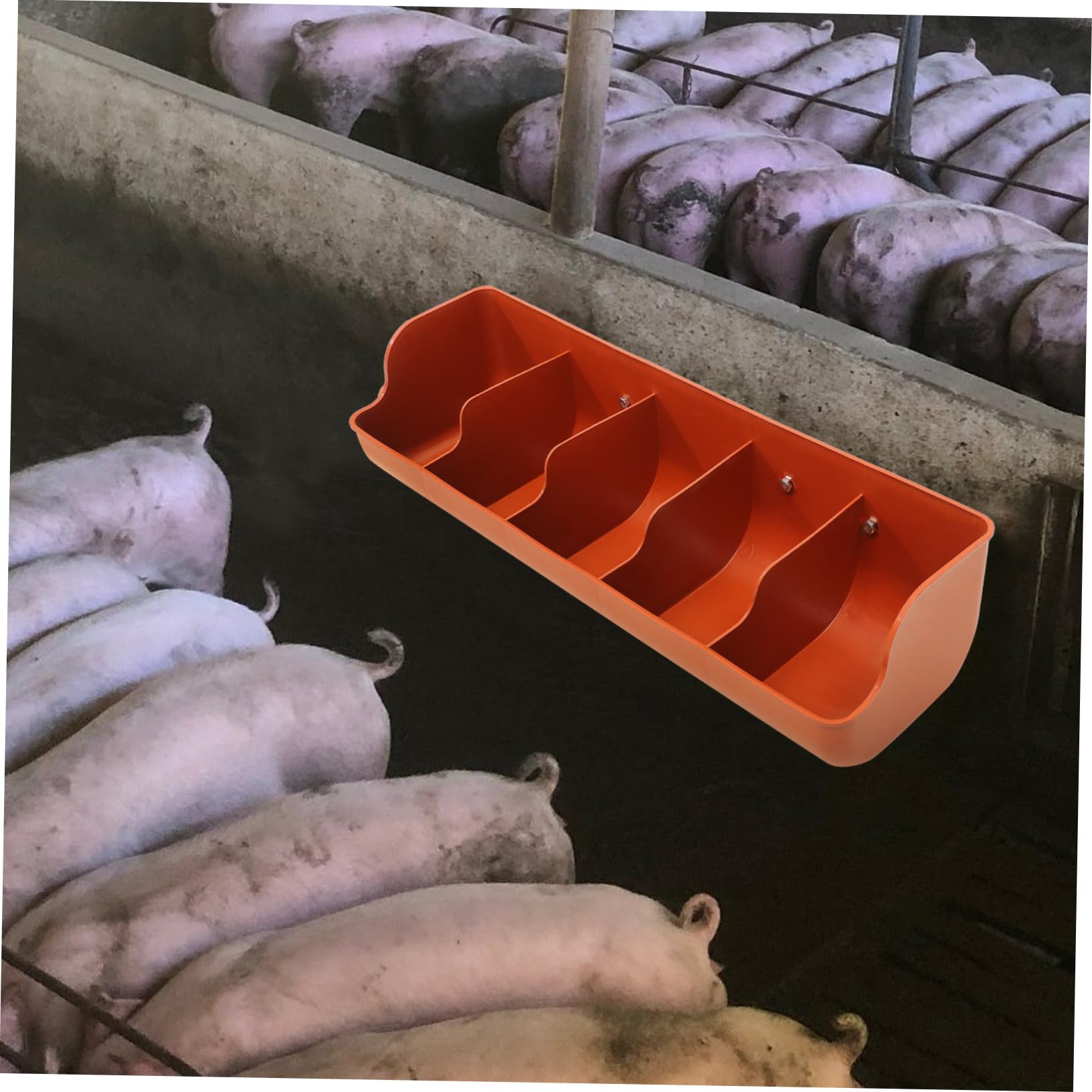 Mangiatoia Plastica per Suini con Scomparti Vasca Alimentazione per Porcellini e Bestiame Duratura e Sicura con Bordi Arrotondati per Allevamenti Suini e Fattorie