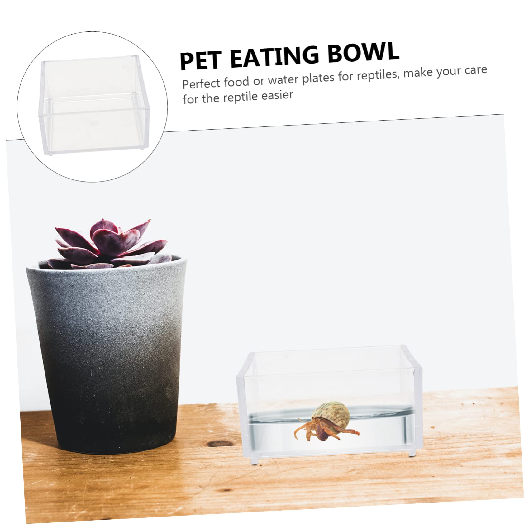 2 Ciotole Per Rettili A Forma Di Foglia - Per Tartarughe, Lucertole, Criceti, Design Piatto, Verde, 2 Misure - Foto 5