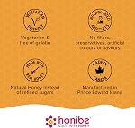 Honibe Kids Multivitamin Gummies Plus Immune Boost | Honey-Based Vitamins Made in Canada | Children's Chewable Gummy Vitamins | Vegetarian Kids Vitamin Gummies | Kids Zinc Vitamin Gummy Bees | 70 gummies