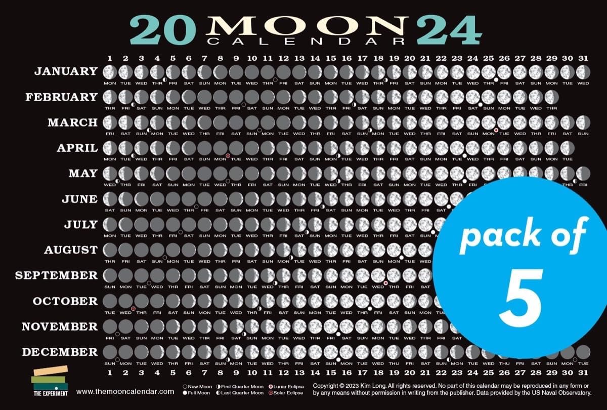 The Experiment 2024 Moon Calendar Card (5 pack): Lunar Phases, Eclipses, and More!