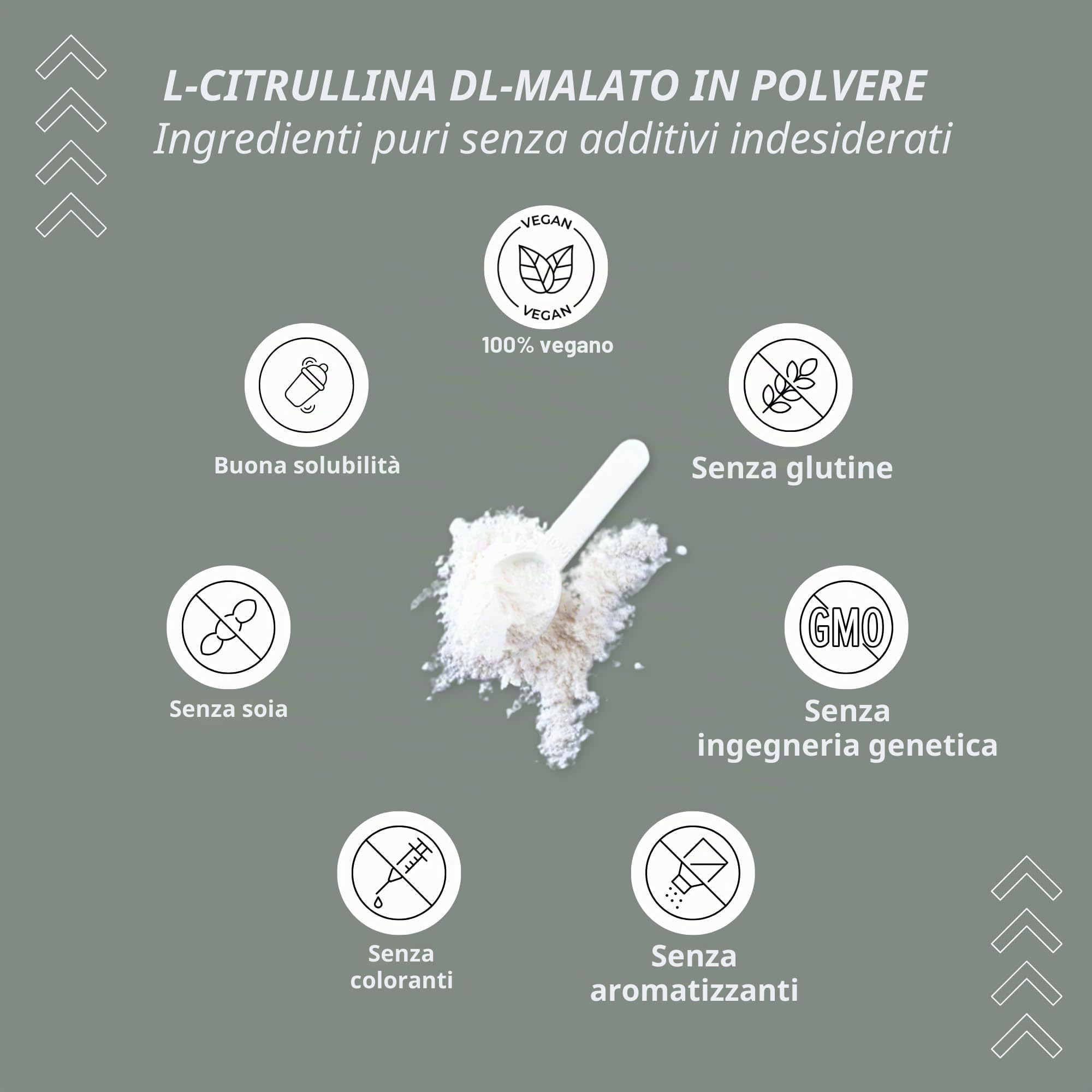 Nutri + L-Citrullina Malato Polvere 1 kg – Dose elevata + vegana + pura – Bodybuilding e Fitness Booster – L-citrulline Malate DL 2:1 – Qualità premium dalla Fermentazione vegetale