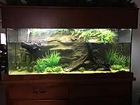 Review Image by DanaLynn DanaLynn