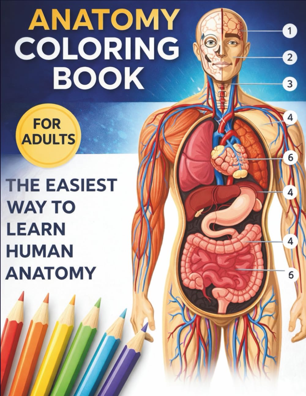 Anatomy Coloring Book The Easiest Way To Learn Human Anatomy: an Entertaining and Instructive Guide to the Human Body - A Coloring, Activity & Medical Book for Teens and Adult