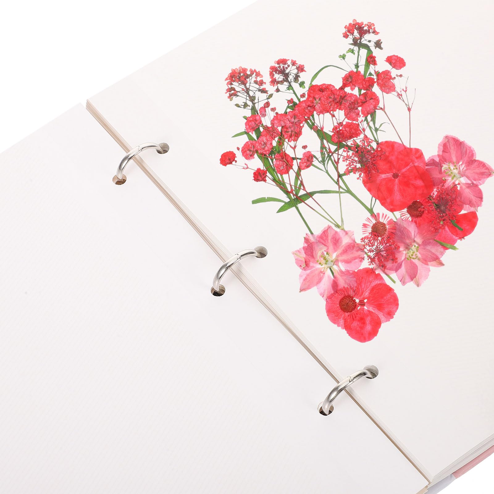 Uonlytech Album per Fiori Pressati Facile da 25 Pagine e Assorbente, di Foglie e Piante Pressate