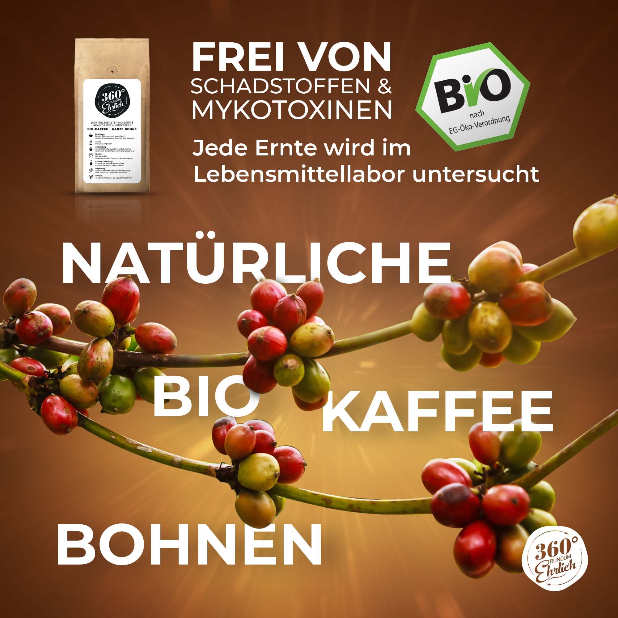 360° rundum ehrlich kawa premium, 100% płaskowyż z Hondurasu, całe ziarna Arabica, ekologiczna uprawa, fair-trade, idealna do kawy Bulletproof Coffee 250g