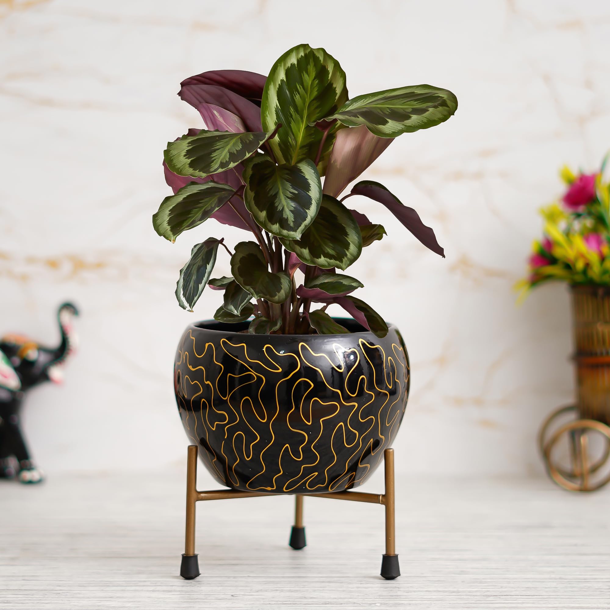 Sia Space Shopping Round Metal Meena Pots with Stand-Durable Rust Free | Flower Planter for Home Garden Decor | Table Top Flower Pot | Best for Indoor & Outdoor Plantation (Black) (B097N5ZM4N) Amazon Price History, Amazon Price Tracker