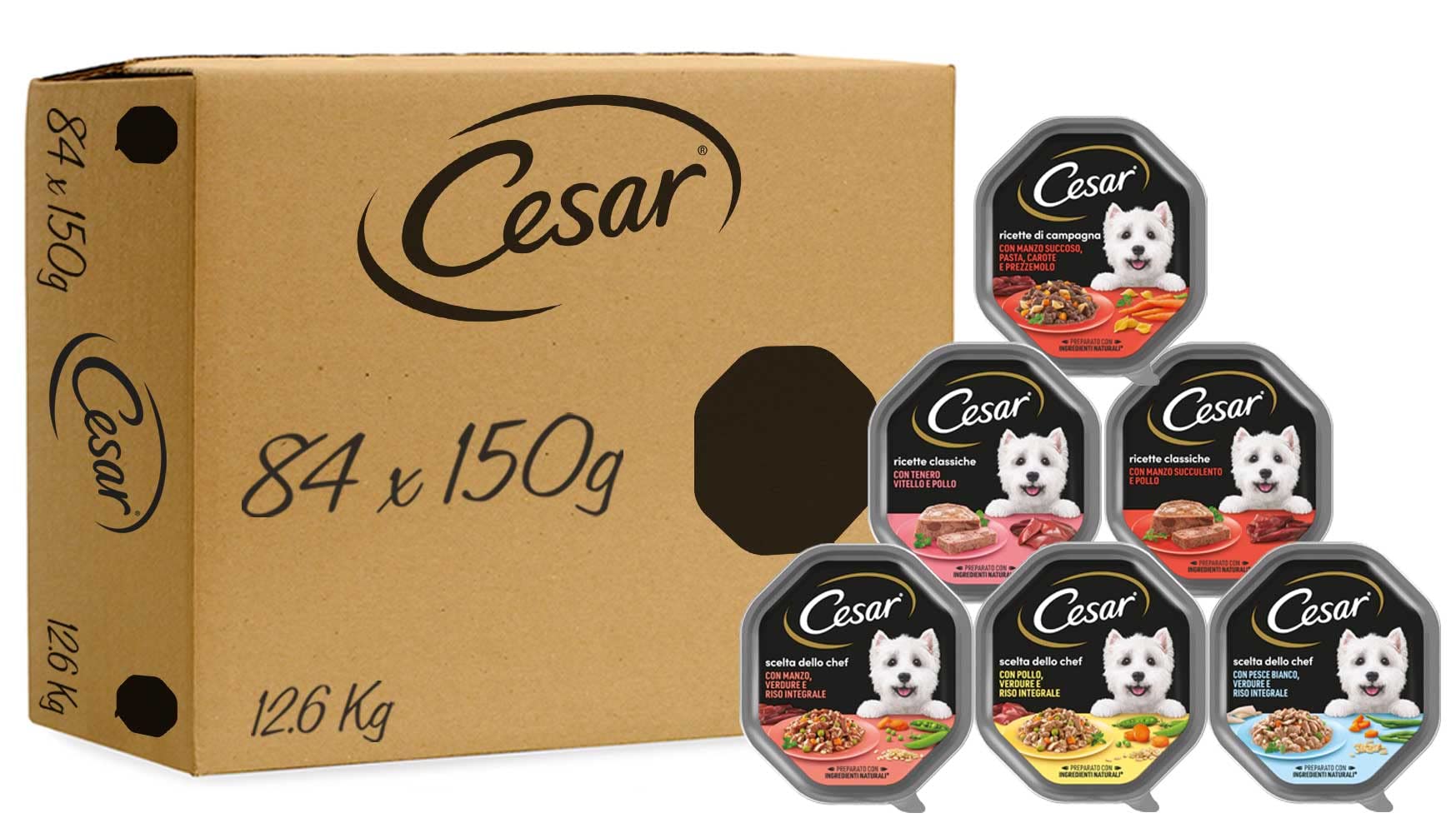 Cesar Cibo Umido per Cane Confezione da 84 Vaschette da 150gr – Formato Scorta, Gusti Misti per un totale di 12.6kg