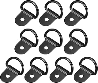 X AUTOHAUX 10 anclajes de amarre en D de 3 mm de diámetro para camiones y coches, color negro