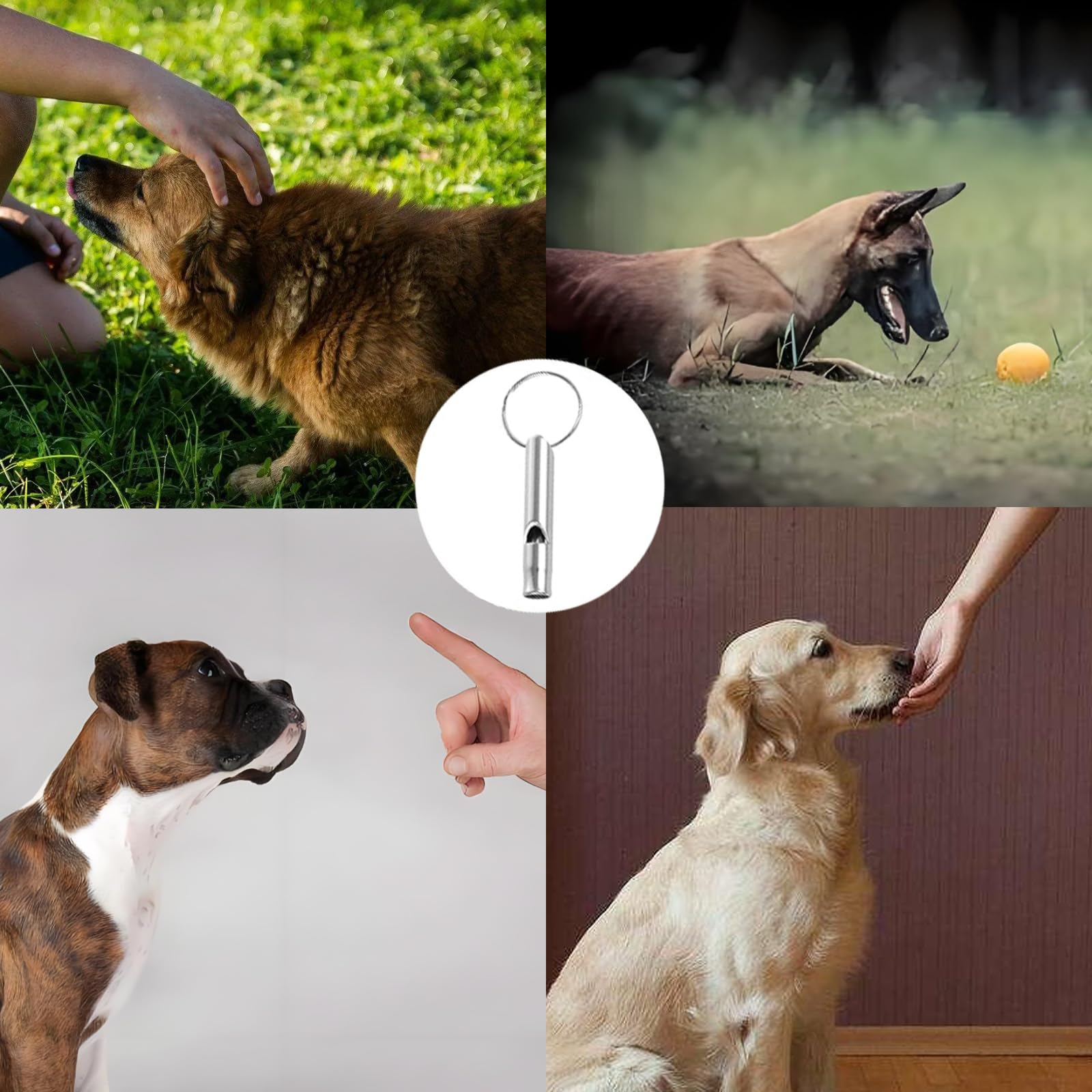6 Pièces Sifflet Ultrason Chien Rappel Anti Aboiement Chat Rappel, Sifflet De Survie, Aluminium, Aides Au Comportement, Outils De Contrôle, et 6 Cordon Tour De Cou