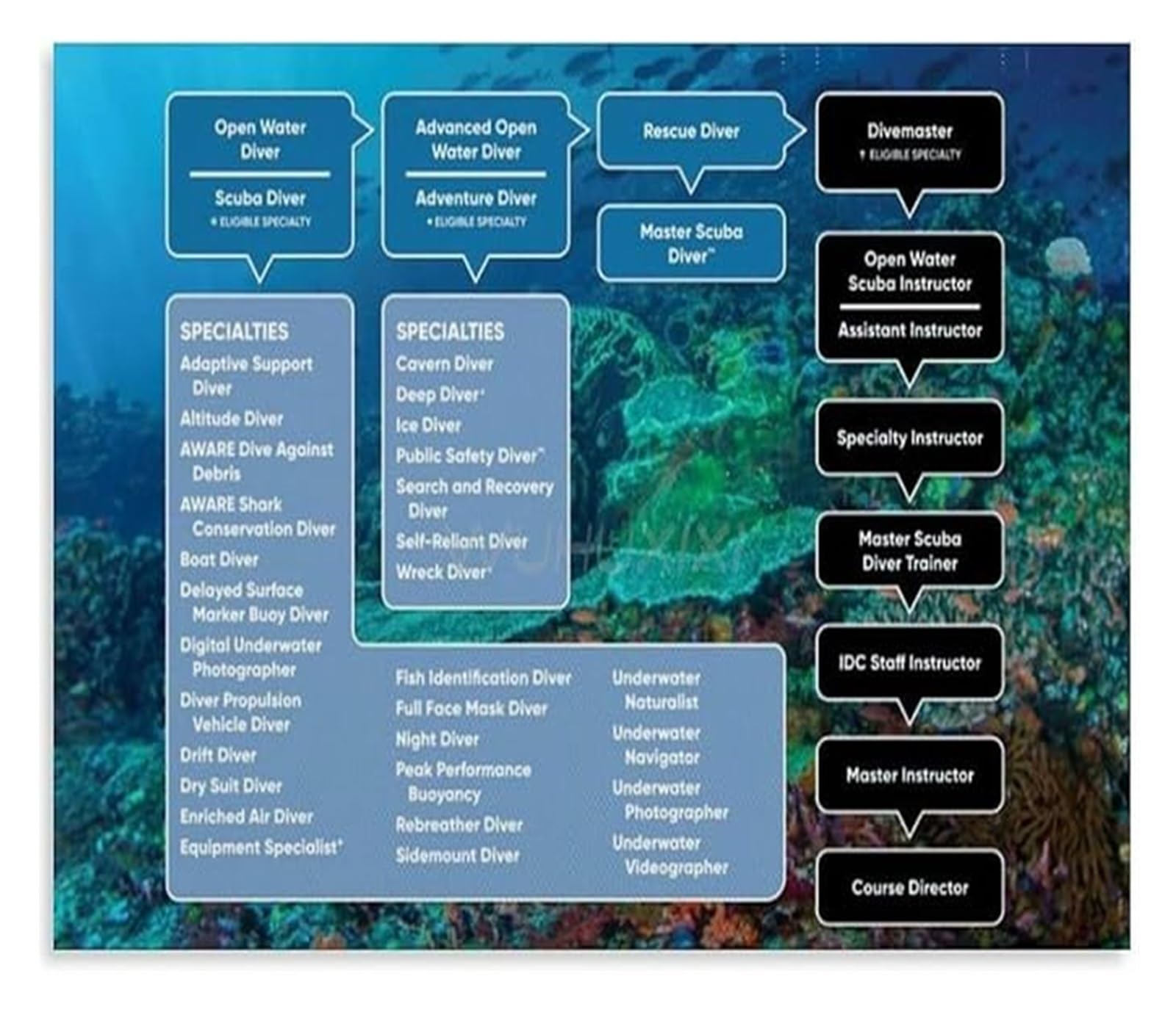 VWWJCCRO Scuba Diving Types Educational Poster Dive Gear Knowledge Canvas Wall-Art for Dive Shop Training Center(Framed,16x24inch(40x60cm))