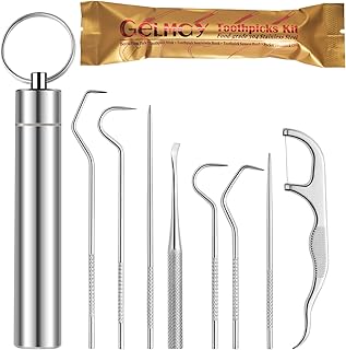 Toothpicks Pocket Set, Dental Floss Picks Kit Reusable, Stainless Steel Teeth Cleaning Tools, Tooth Picker Oral Hygiene Travel (1 Set)