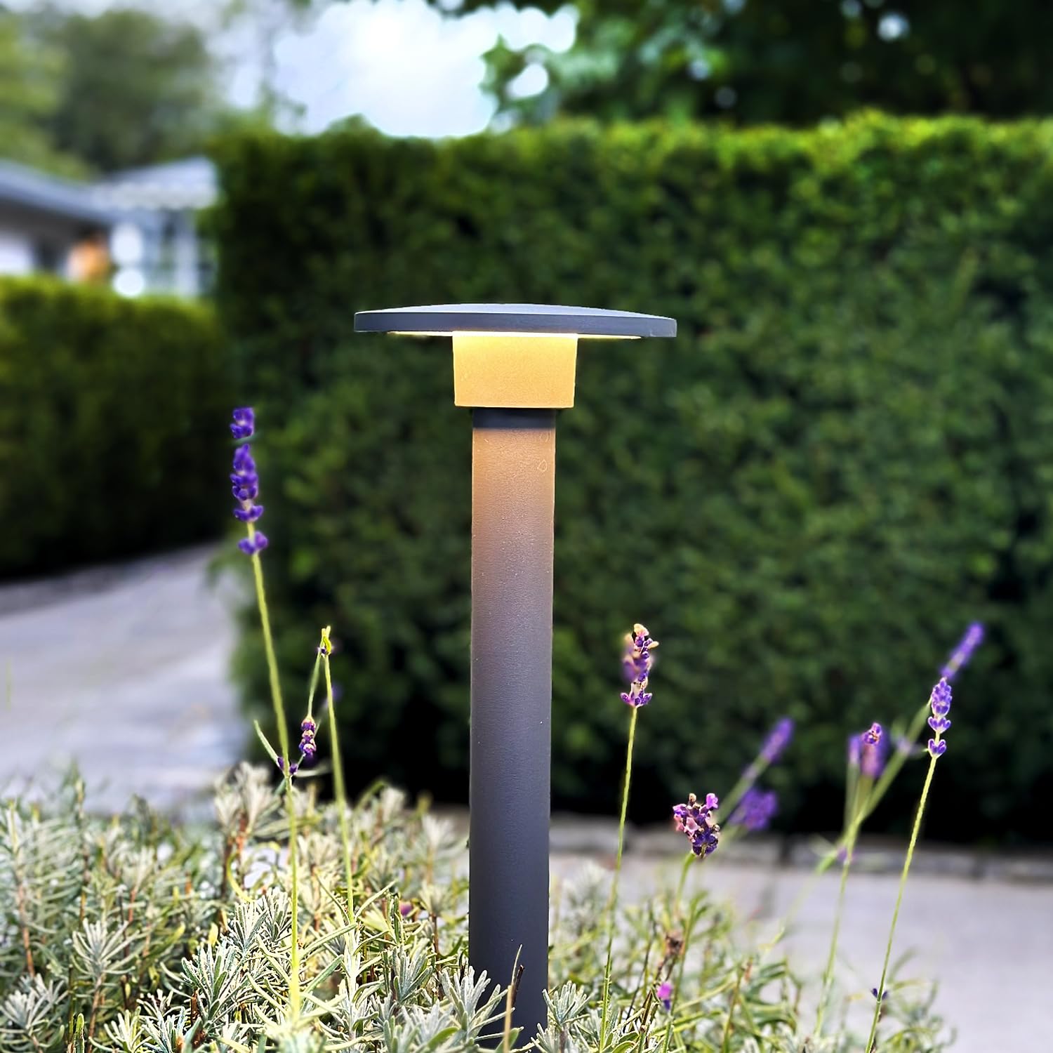 LightsOn Orbit 65 słupków Plug & Play Oświetlenie ogrodowe LED (ciemnoszare): system 12 V, stałe źródło światła i nieoślepiające światło, łatwe do zainstalowania i rozbudowy, do przejść, rabatów i