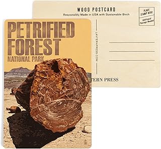 Petrified Forest National Park, Arizona, Petrified Wood Close Up (4x6 Birch Wood Postcards, 2-Pack Stationary, Rustic Home Wall Decor)