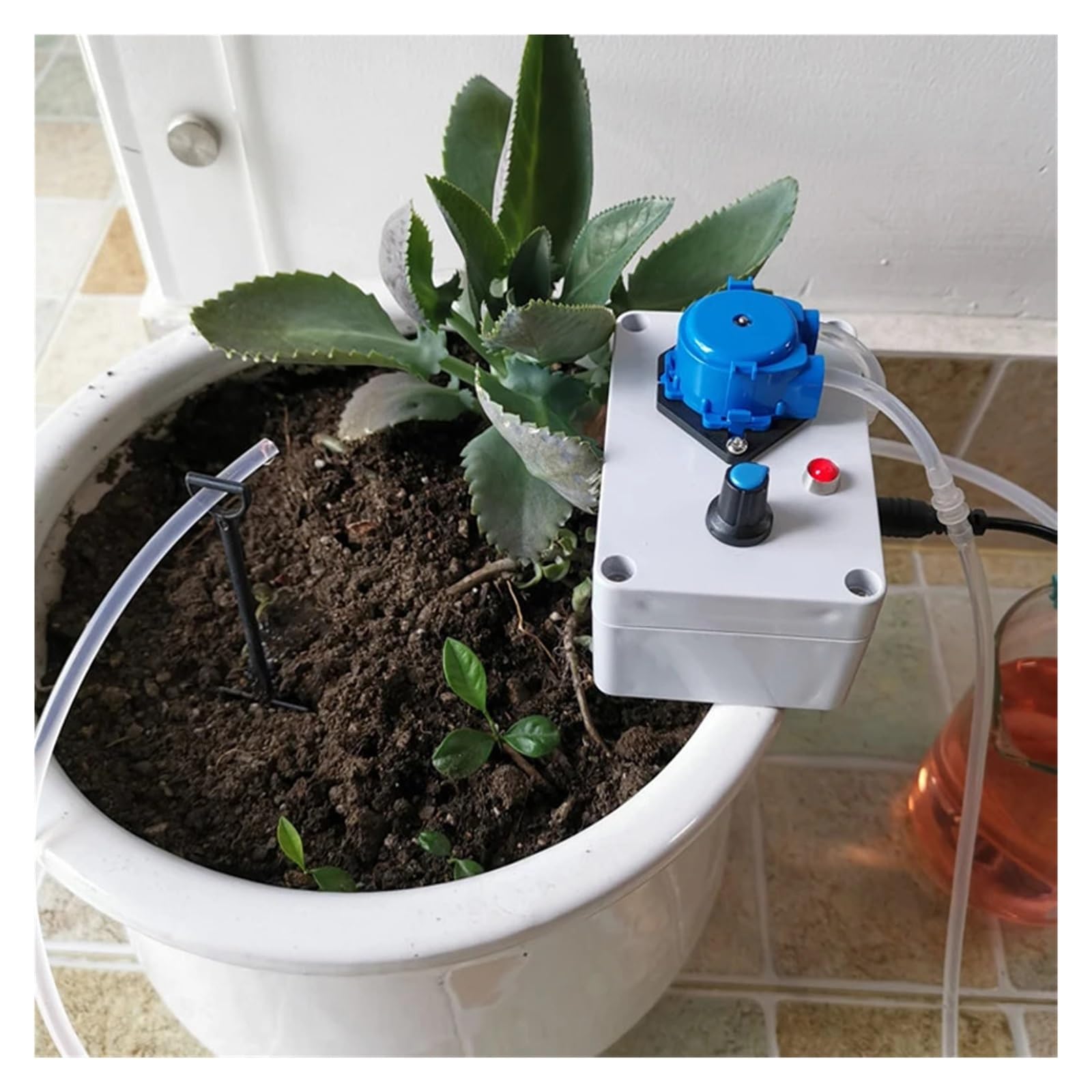 Bomba peristáltica en miniatura, bomba autocebante, dosificadora de circulación, grado alimenticio laboratorio 10-70ML/ajustable con interruptor pie Para uso doméstico