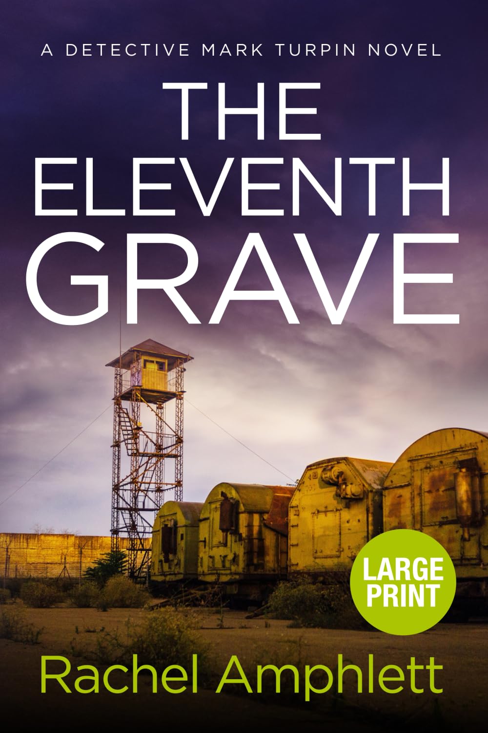 The Eleventh Grave: A Detective Mark Turpin crime thriller (large print): 6
