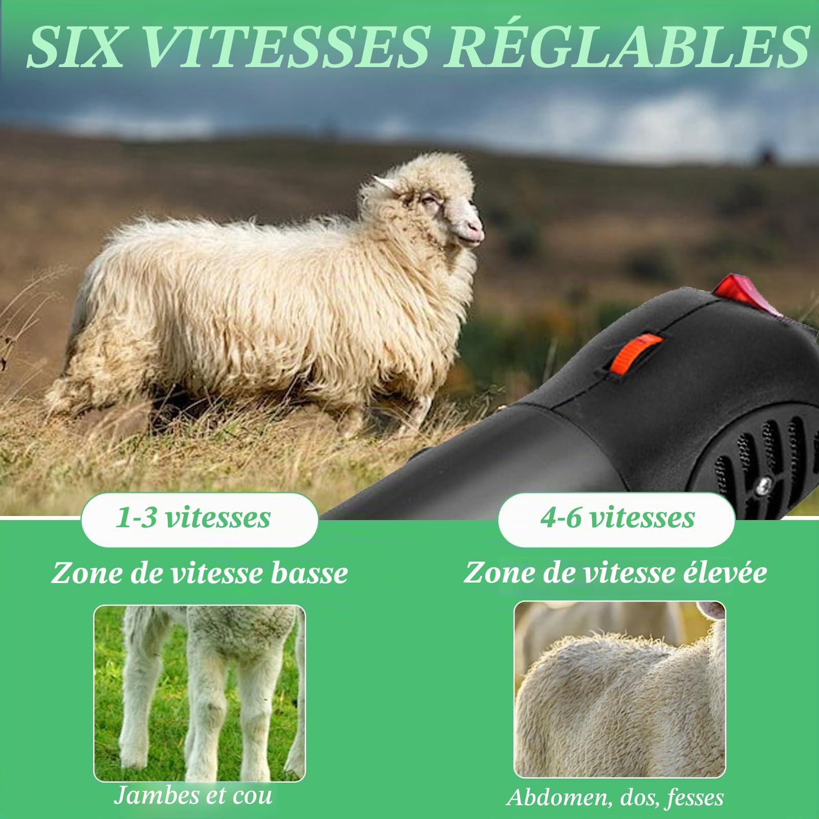 900w Tondeuse à Mouton Électriques, Tondeuse à Moutons Machine avec 6 Vitesses Réglables, 2800rpm, Tondeuse Mouton Professionnelle pour Moutons, Alpagas et Chèvres, avec Étui de Transport