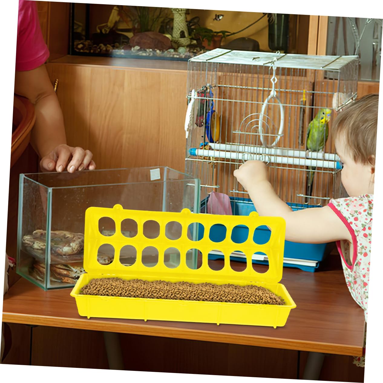 POPETPOP 5 Ensembles Mangeoire Pour Perroquets Distributeur De Pour Oiseaux Distributeur Oiseaux Animal De Compagnie Éleveuse Mangeoires Pour Volaille Plastique 2 Pièces * 5