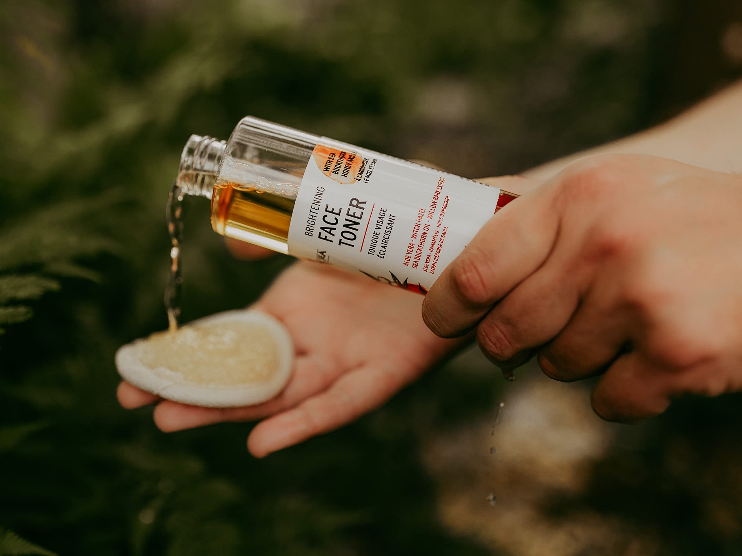 Bee By The Sea - Face Toner With Sea Buckthorn and Honey - 250 ml / 8 fl oz  : Amazon.ca: Beauty & Personal Care