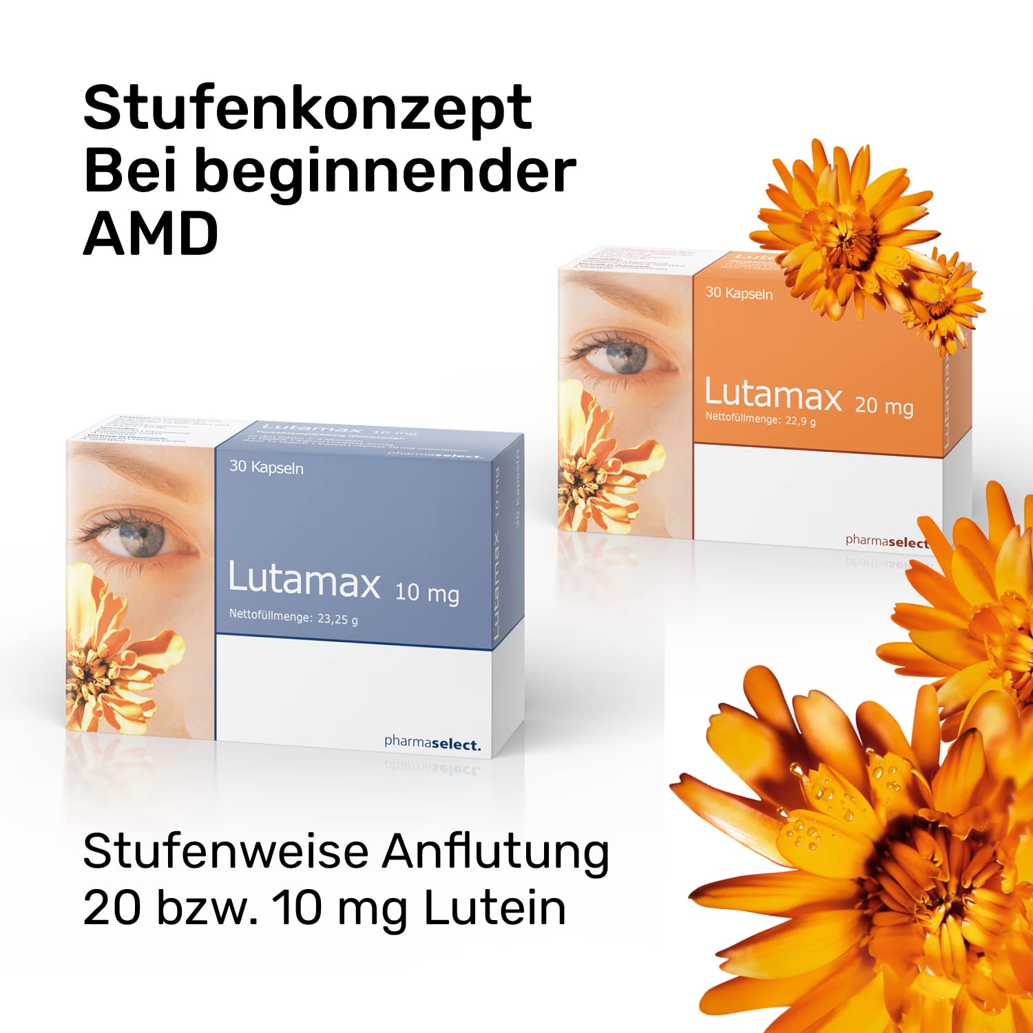 Lutamax 20 mg – 90 Kapseln | Lutein & Zeaxanthin | Augenvitamine zur Unterstützung der Sehkraft bei altersbedingten Augenproblemen | 3-Monats-Pack