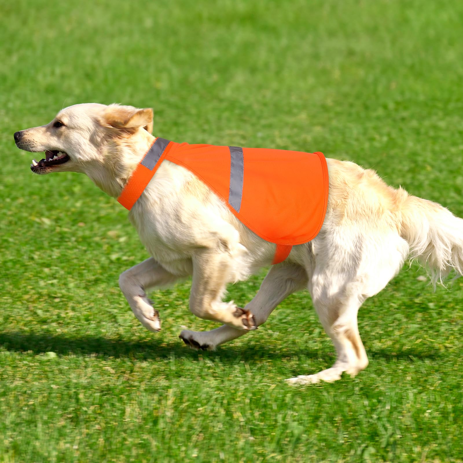 Dog Vest High-Visibility Reflective Adjustable Safety Jacket For