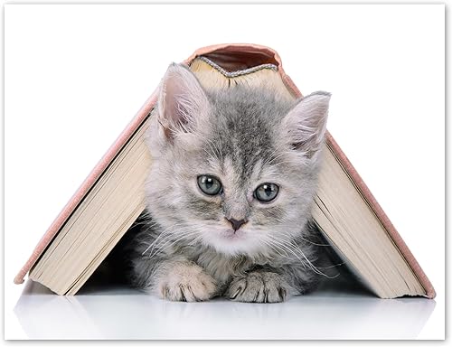 Miniatura 7 de Small World Greetings Playful Kitten Cards 12 unidades  Interior en blanco con sobres  Tamaño A2 (5.5 x 4.25 pulgadas)  Papelería de gato  Para