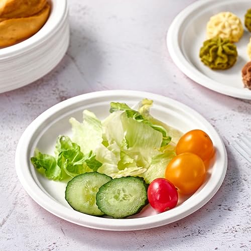 Vista 17 de Vplus Paquete de 150 platos de papel desechables compostables de 10 pulgadas, súper fuertes, 100% bagazo, natural, biodegradables, ecológicos