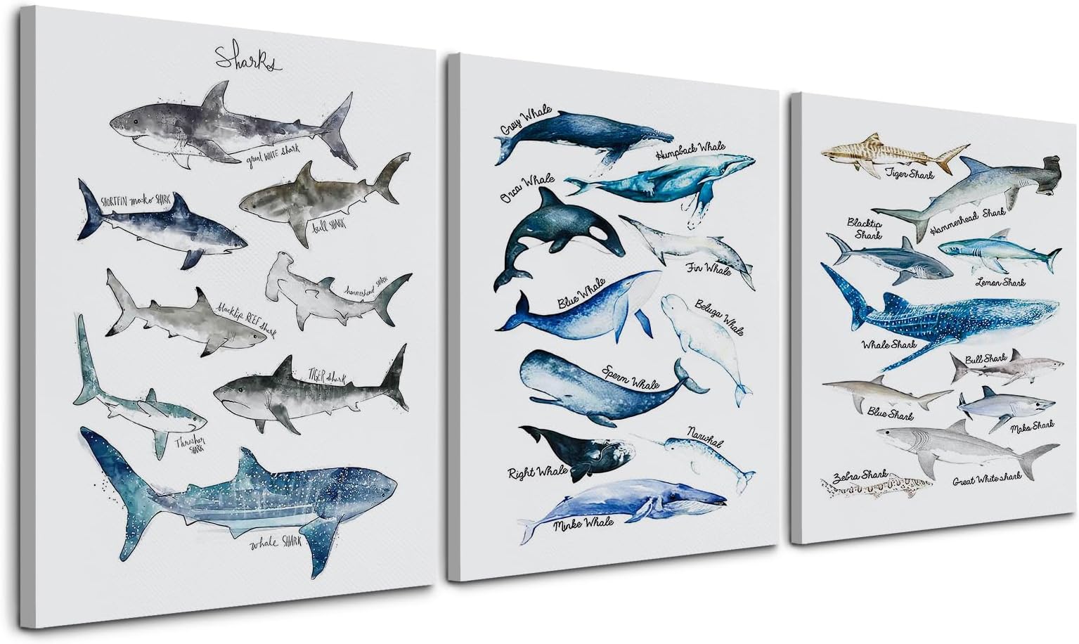 NOGRIT Shark Decor,Shark Wall Art,Shark Bathroom Canvas Wall Art 11×14 Inch Set of 3,Classroom Decor Library Dorm Decor ,Whale Shark Decor,Gift for Shark Whale Lovers Students Kids Teens,Shark Wall