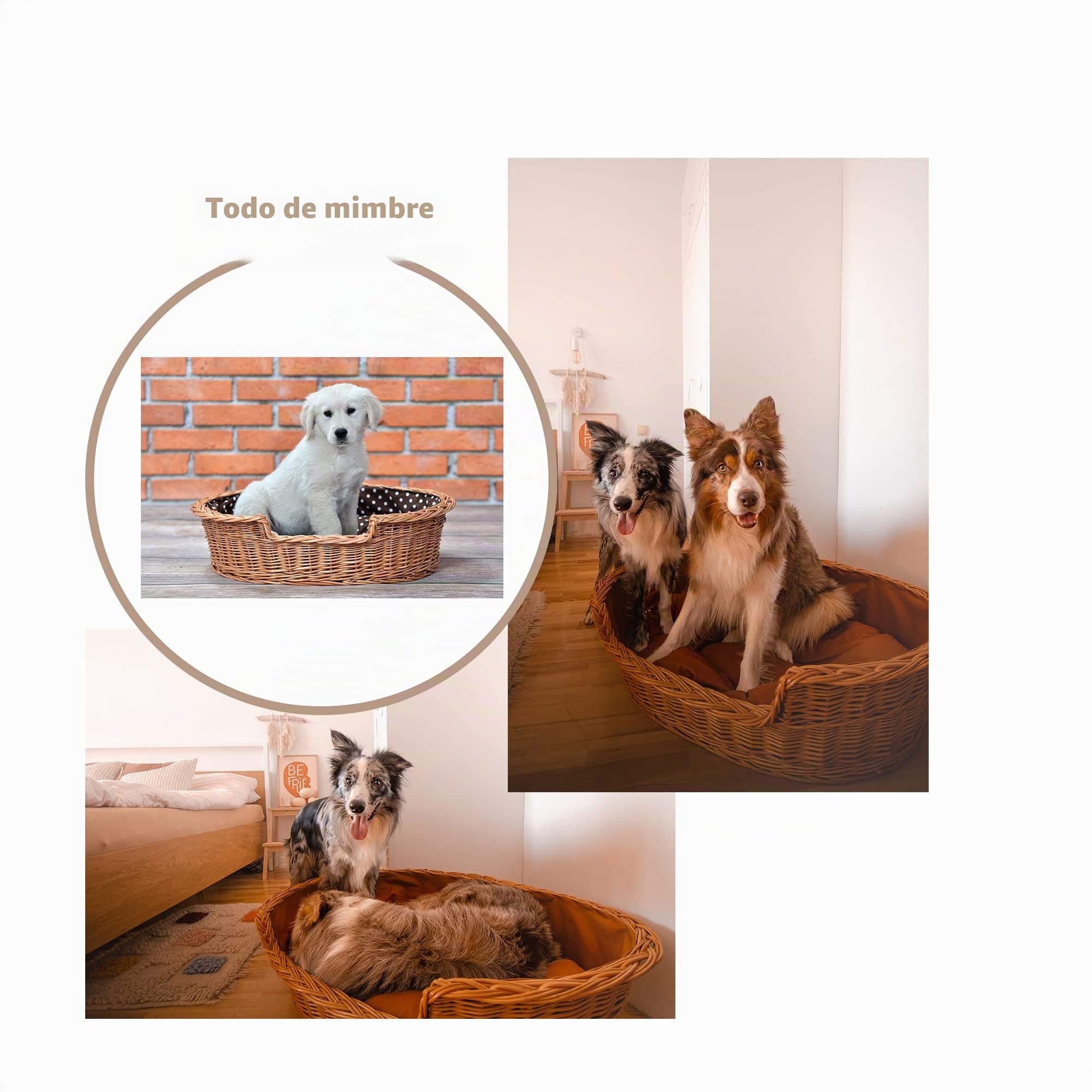 Un Almacenamiento de Mimbre para un perro/Un Gato con un cojín suave, un Tumbona para animales, rodamiento de gato/perro, de almacenamiento cama para perro/gato cama