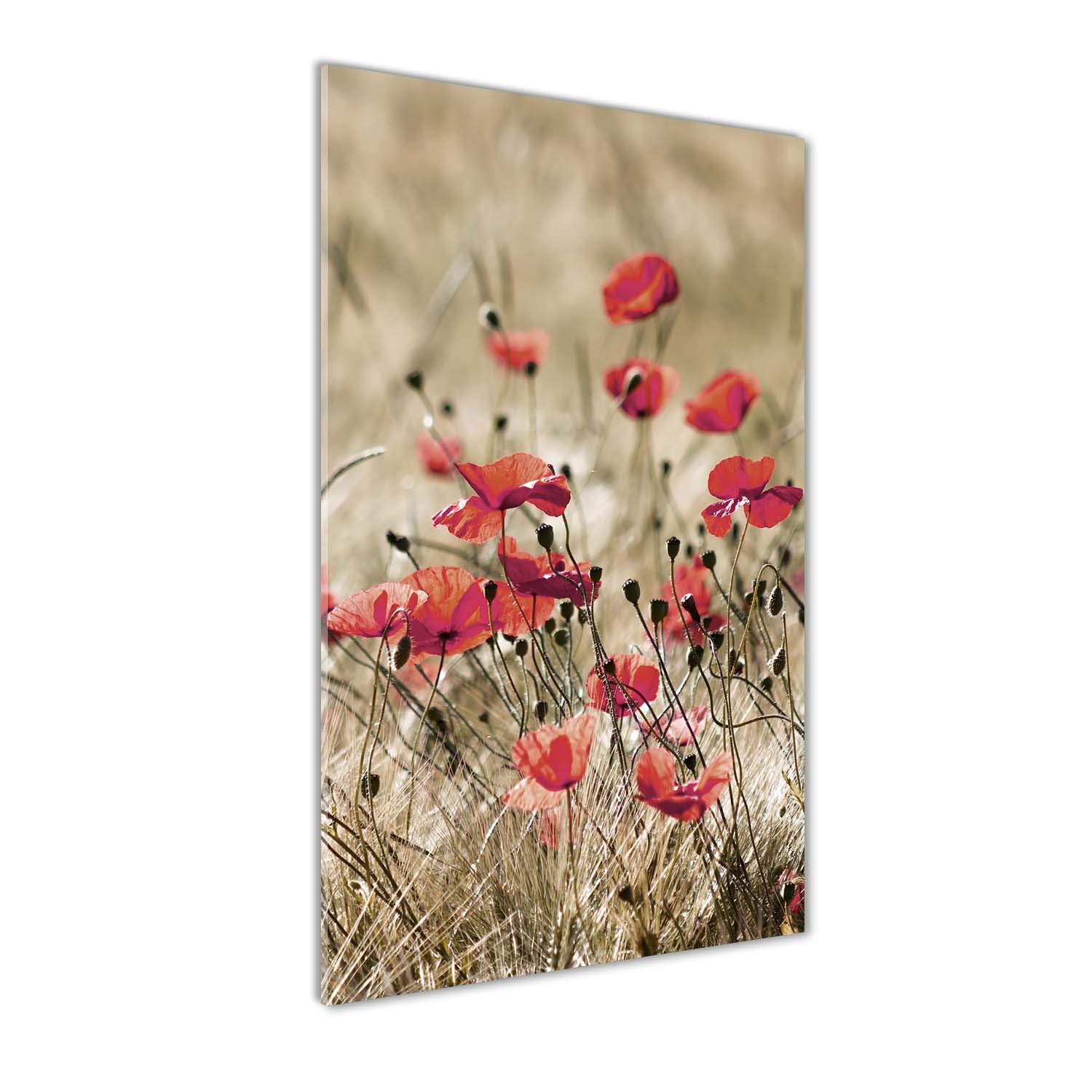 Impression sur verre 60x120 cm panorama de fleurs sauvages rouges pour salon et cuisine