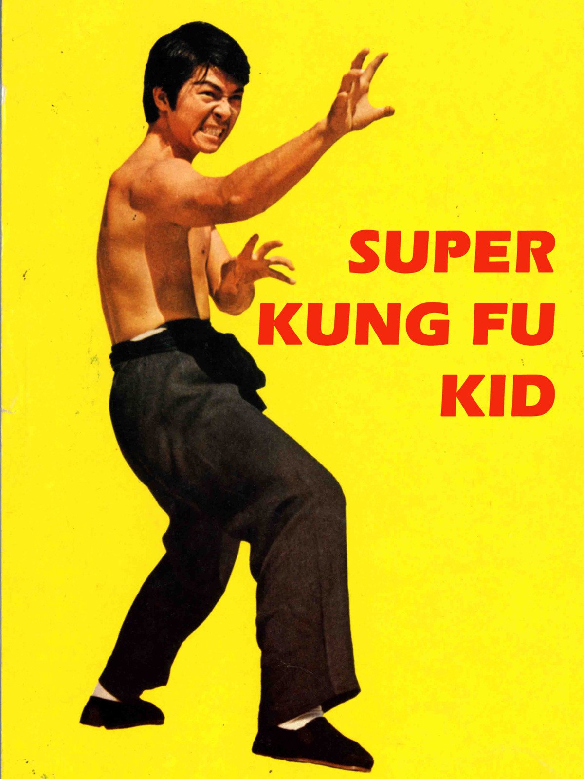 Super Kung Fu Kid