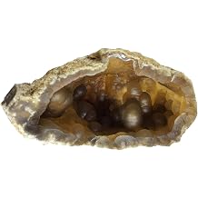 Agatized Coral, 3.25", Fossil, Display Specimen, #R-7117
