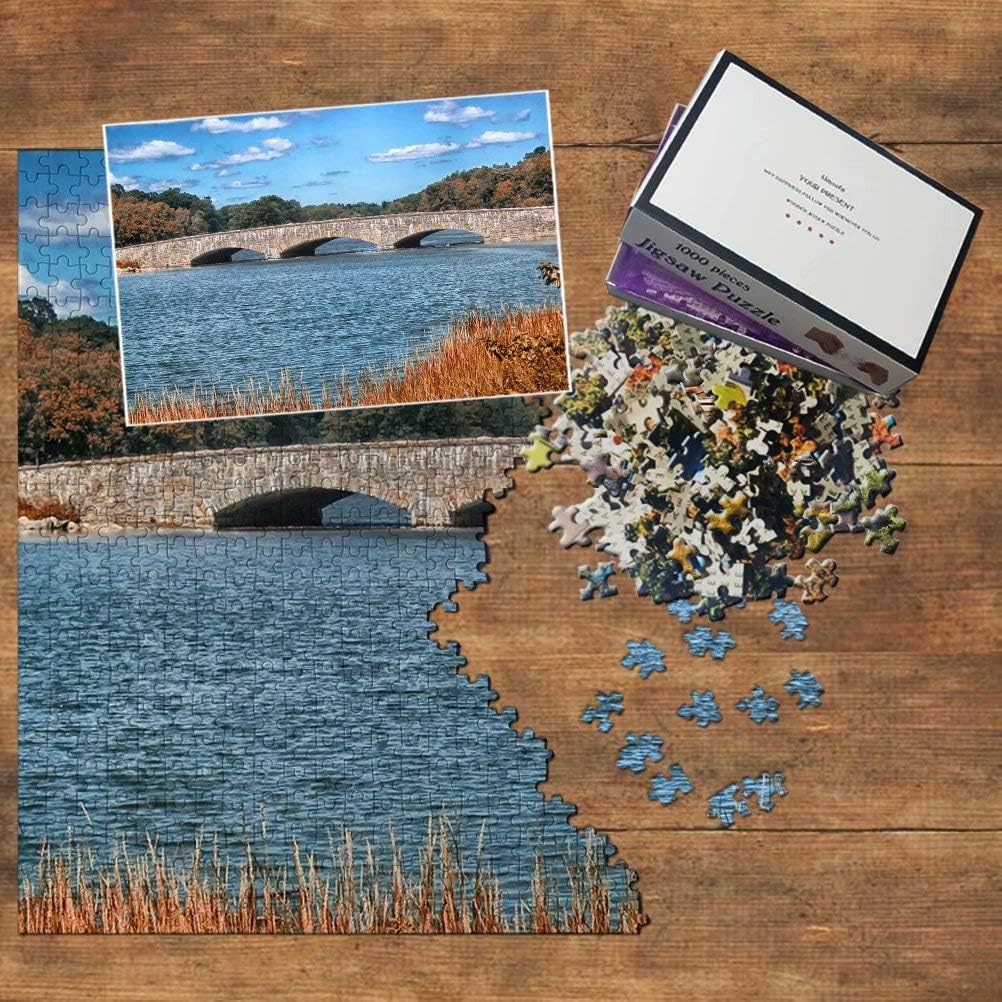 USA America Darien Connecticut Bridge Jigsaw Puzzle 1000 Piece Travel Souvenir Wooden