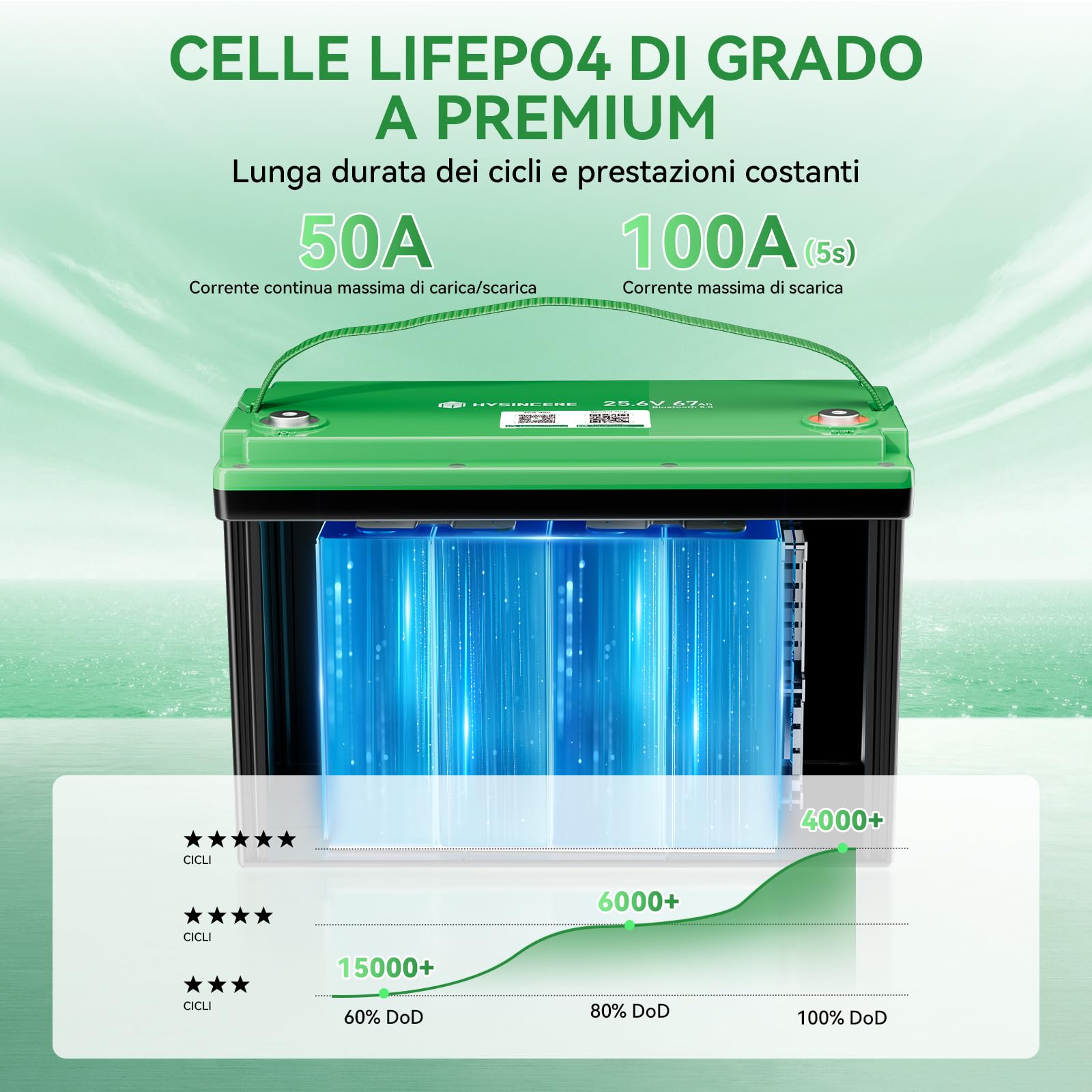 Batteria al Litio LiFePO4 24 V 63 Ah, 1715 Wh con BMS e Riscaldamento Automatico, durata di 10 anni, oltre 4000+ Cicli, Ideale per Sistemi Off-grid, Barca, Camper