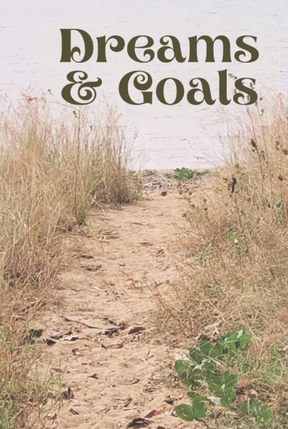 Dreams & Goals: A Journal to record your dreams and goals on your path to success