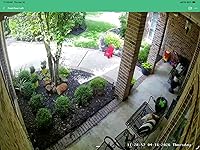 Review Image by Lazy Lane