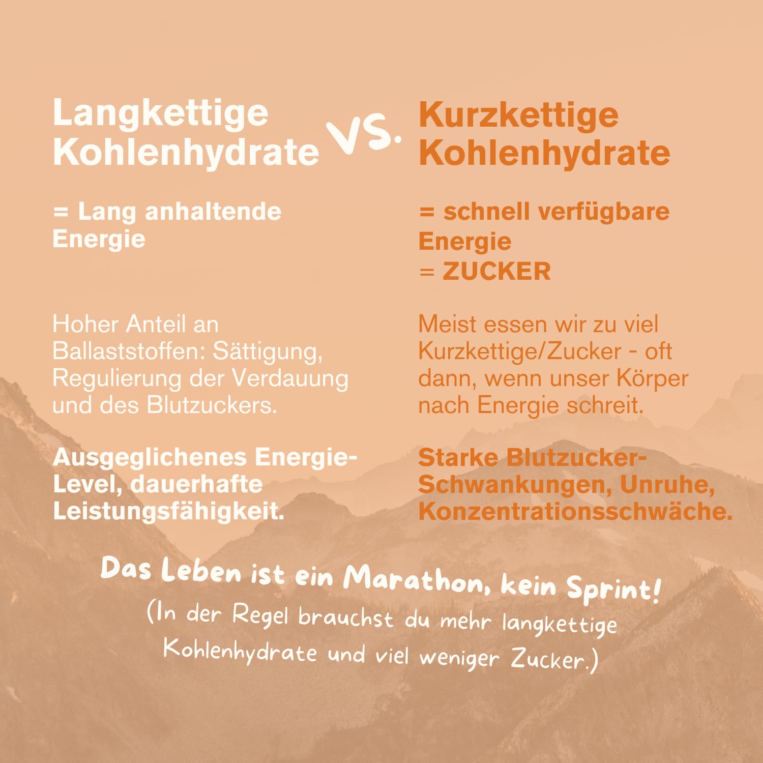 Best of TZAMPAS Mix Box Groß (16x40g) - Energieriegel aus gerösteter Gerste in der Snack Box - Power Riegel | Energieriegel geeignet für Radsport und Trailrunning - Bio Riegel vegan & ohne Zusätze